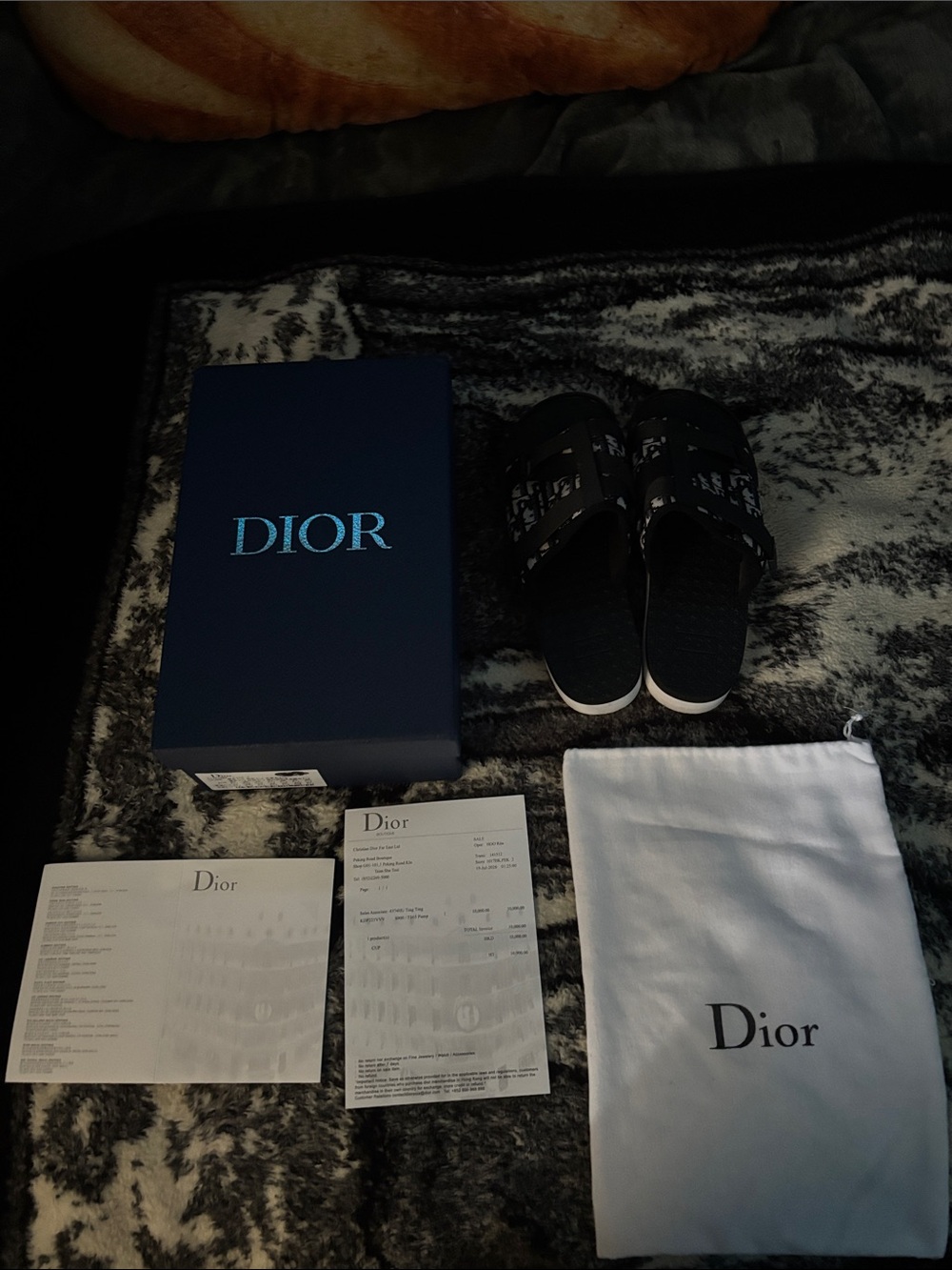 Dior slides